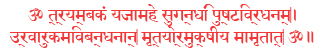 Mahamrityunjaya Mantra - Shorter Form