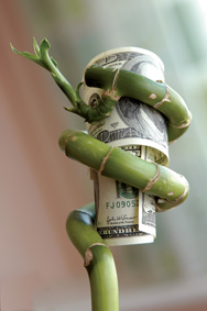 Develop Mental Attitudes of Rich People