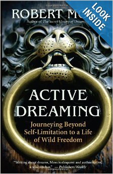 Active Dreaming: Journeying Beyond Self-Limitation to a Life of Wild Freedom