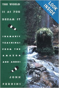 The World is as You Dream It: Shamanic Teachings from the Amazon